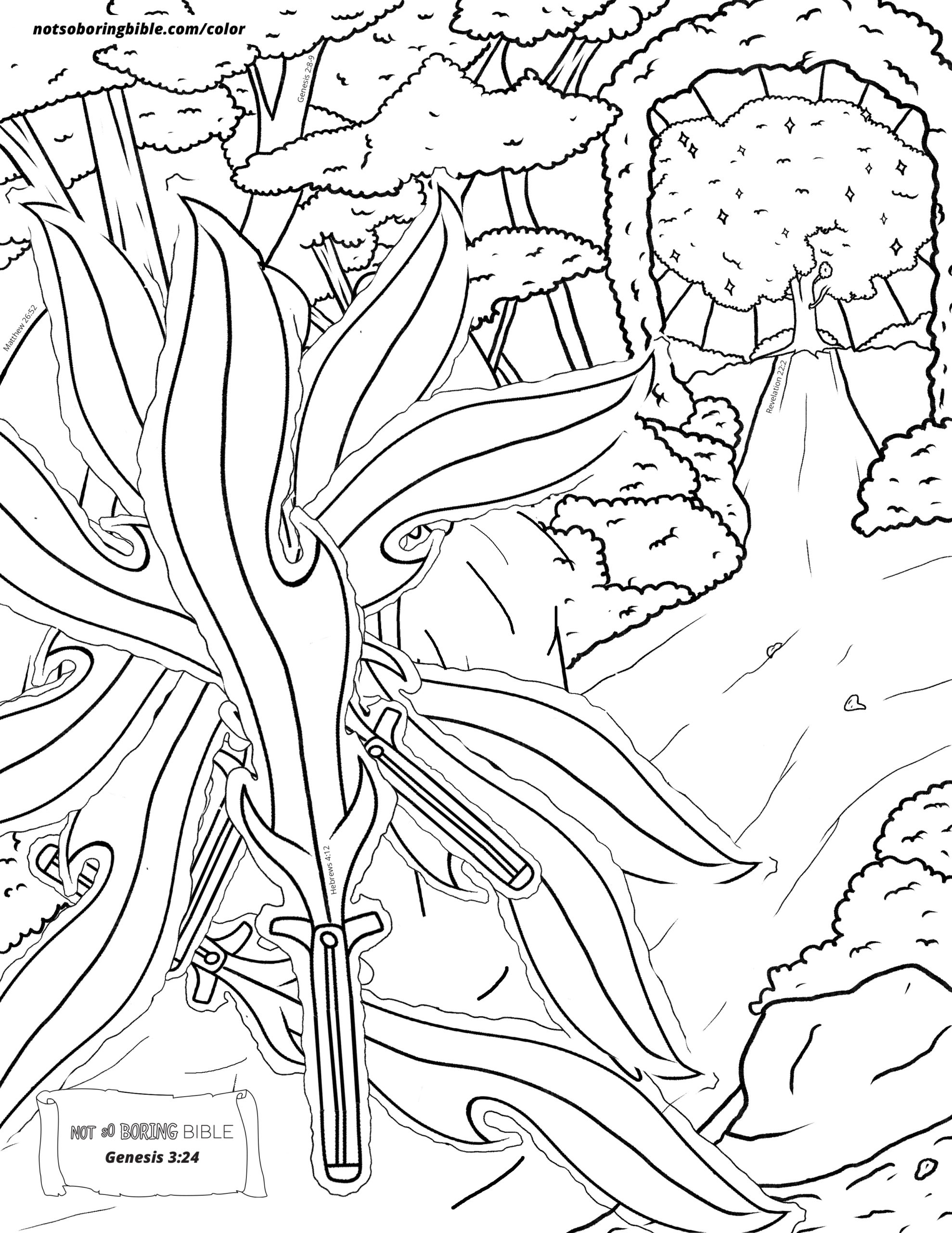 bore coloring pages