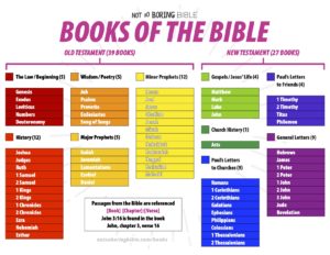 Books of the Bible - Not So Boring Bible